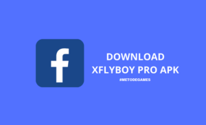 download xflyboy pro apk