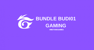 bundle budi01 gaming