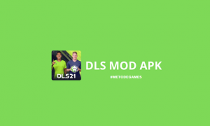 DLS Mod Apk 2021 Unlimited Money v8.13 Terbaru (DOWNLOAD)