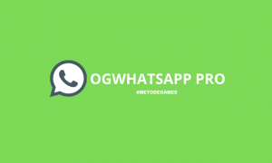 OGWhatsapp Pro Apk Mod Update Terbaru 2021 (ANTI BANNED)