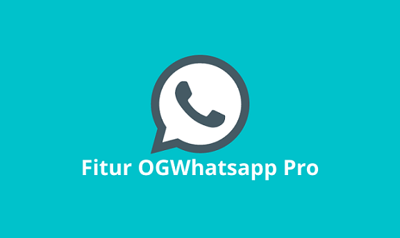 OGWhatsapp Pro Apk