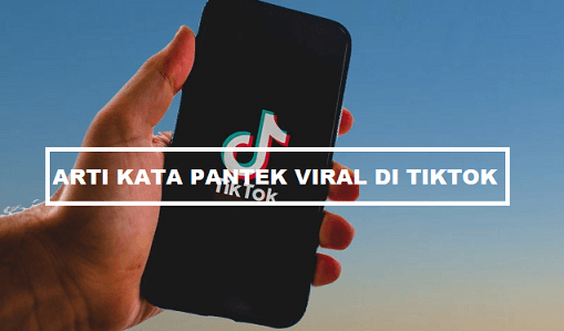 arti pantek viral tiktok