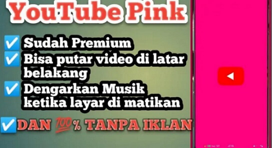 Fitur Youtube Pink Apk