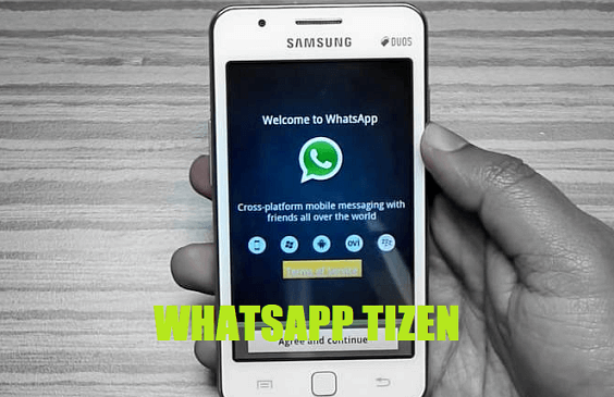 Whatsapp Tizen Tpk