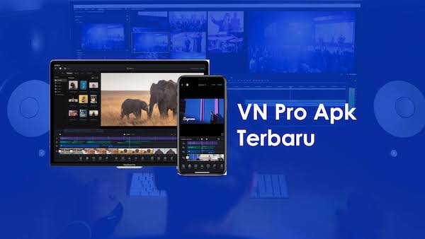 VN Mod Apk Pro