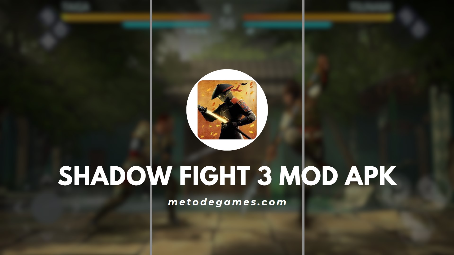 Penjelasan Singkat Game Shadow Fight 3 Mod Apk