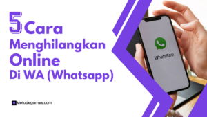 3 Cara Menghilangkan Online Di WA (Whatsapp) Mudah Banget!